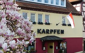 Hotel Zum Karpfen Obernburg
